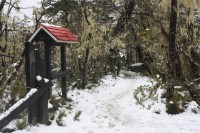 /album/curicofashionbook/nieve-jpg/