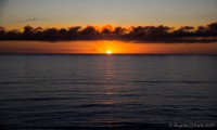 /album/fotogaleria/mg-0779-jpg/